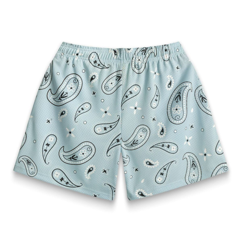 Men's Fitness Mesh Breathable Loose Sports And Leisure Shorts